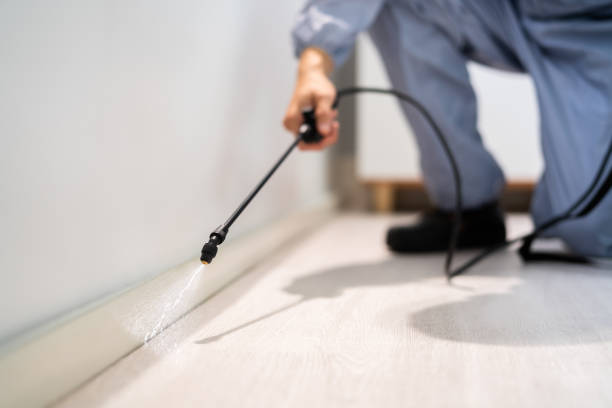 Licensed Fumigation Services service in Ninety Six, SC - Nex Pest Control